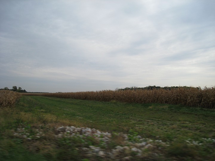 West Lafayette IN Purdue University 2007-10 104.jpg